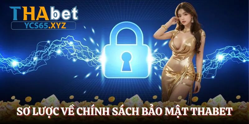 Cam kết về việc không tiết lộ thông tin người dùng trái phép